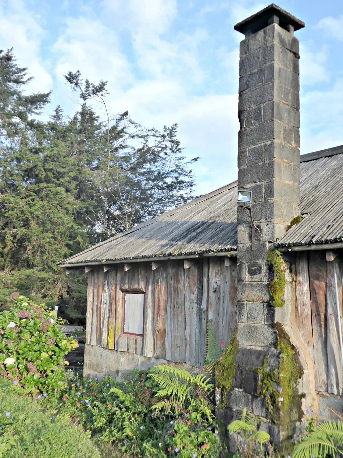 Castle Forest Lodge